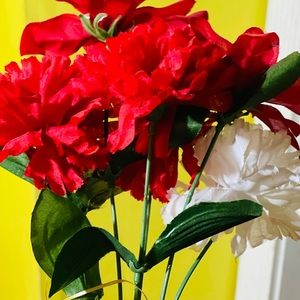 Meet your Posher, Janet a